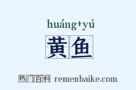黄鱼是什么意思的图片